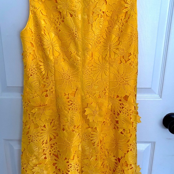 NWT WHBM Lace shift dress 6 - Dandelion. Spring, EasterParade, Lace, Boho, HAPPY - Picture 8 of 10